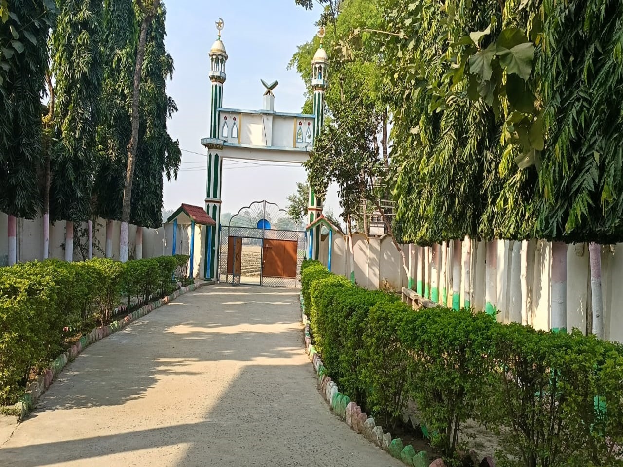 Jamia at Night